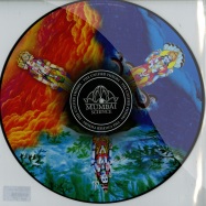 Front View : Mumbai Science - UNIFIED THEORY (PICTURE DISC) - Lektroluv / LL64