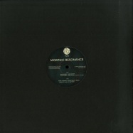 Front View : Various Artists - MORPHIC RESONANCE - RLSD Records / RLSD002