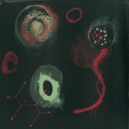 Front View : Polypores - THE IMPOSSIBILITY (LP) - Polytechnic Youth / py47