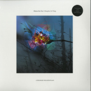 Front View : Fran Norr, Blinkar - METAPHORS FOR THINGS (2LP+MP3) - A Strangely Isolated Place / ASIPV 022