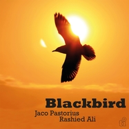 Front View :  Jaco Pastorius & Rashied Ali - BLACKBIRD (LP) - Music On Vinyl / MOVLP3271