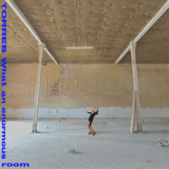 Front View : Torres - WHAT AN ENORMOUS ROOM (LP) - Merge / 00161086