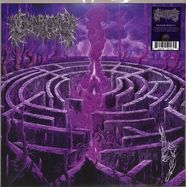 Front View : Civerous - MAZE ENVY (BLACK VINYL) (LP) - 20 Buck Spin / SPIN 180LP