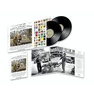 Front View : Various Artists - DELTA SWAMP ROCK (2LP) - Soul Jazz / 05260391