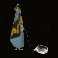 Front View : Shingo Suwa - SEISHIN - Acid Camp Records / ACR017