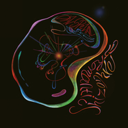 Front View : Das Spezial - ROMANTIC SCHIZOPHREMIC - Mule Musiq / Mule Musiq 304