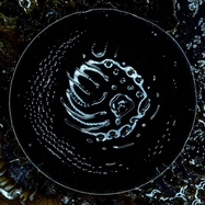 Front View : Stonus - STONUS (LP) - RIPPLE MUSIC / RIPLP278