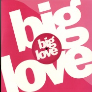 Front View : Davidson Ospina - PARTY HARD EP - Big Love / BL017