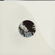 Front View : Resoe - THE BLACK VOID OF SPACE EP 00/2 (DON WILLIAMS REMIX) - Echocord / Echocord 053