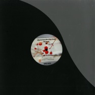 Front View : Natan H - GAVE EP - Mysterious Russian Soul Records / MRS003