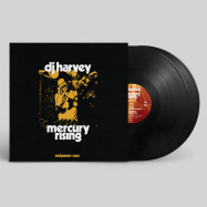 Front View : Various Artists - DJ HARVEY IS THE SOUND OF MERCURY RISING VOLUMEN TRES (2LP) - Pikes Records / PIKESLP003