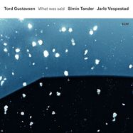 Front View : Gustavsen,Tord/Tander,Simin/Vespestad,Jarle - WHAT WAS SAID (2LP) - ECM Records / 4766532