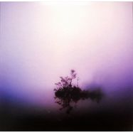 Front View : Various Artists - TO BREATHE AGAIN... (LP) - Special Species Records / SSR034