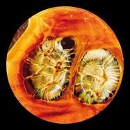 Front View : DEAS - DRIFTED OFF EP - Arts / ARTS058