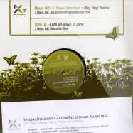 Front View : Various Artists - DELICIOUS GARDEN MUSIC BOX (5LP) - Delicious Garden / dgpromusicbox1