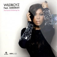Front View : Wildboyz feat Ameerah - THE SOUND OF MISSING YOU (CD) - D:Vision / DV680.10CDS