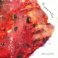 Front View : Young Mothers - BETTER IF YOU LET IT (LP) - BIRDWATCHER RECORDS / LPBW26