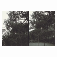 Front View : Okkyung Lee - JUST LIKE ANY OTHER DAY (LP) - Shelter Press / 00171206