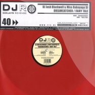 Front View : DJ Josh Blackwell & Miss Babayaga DJ - DREAMCATCHER - FAIRY TALE - DJs Revenge / DJR 040