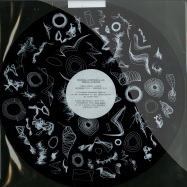 Front View : Simon Pyke - UNIVERSAL EVERYTHING & YOU (LTD 180G PICTURE DISC) - Warp Records / WAP360