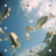 Front View : Aladdin - THE AQUATIC GENIE - Pager Records / PAGER016