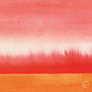 Front View : Various Artists - INVITES HOMEGROUND EDITION - ANA�H / ANA011LTD