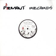 Front View : Davis & May - NEOTRON EP - Piemont Records / Ptrec001