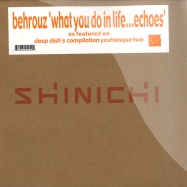 Front View : Behrouz - WHAT WE DO IN LIFE... ECHOES TO ETERNITY - Shinichi / shi005