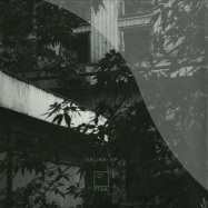 Front View : Ptaki - KALINA EP - Young Adults / ya007
