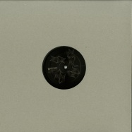 Front View : Bichord - METAMORFOSI LP - Planet Rhythm / PRRUKLTDLP01