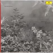Front View : Balmorhea - PENDANT WORLD (LP) - Deutsche Grammophon / 002894861989