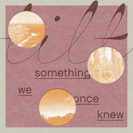 Front View : Tilt - SOMETHING WE ONCE KNEW (LP) - Dear Life Records / LPDLR52