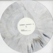 Front View : Function - FEED FORWARD VERSIONS (MARBLED VINYL) - Sandwell District / SDSMP3