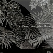 Front View : Kaoru Inoue - A MISSING MYTH OF THE FUTURE (LP) - Seeds And Ground / sagv031