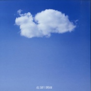 Front View : Newman - THE LONG JOURNEY - All Day I Dream / ADID030