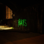 Front View : Rats - RULE THE WORLD (GREEN VINYL) (LP) - ALLSORTED RECORDS / ALL1SORTELP