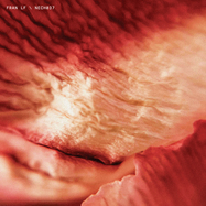 Front View : Fran LF - TECH037 - Techno Records / TECH037