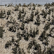 Front View : Gregory Uhlmann - EXTRA STARS (LP) - INTERNATIONAL ANTHEM - INDIGO / 05285381