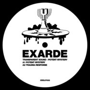 Front View : Transparent Sound - Potent Mystery (Incl. Acidulant & Ben Pest Remixes) (2LP) - Exarde / XRDLP008
