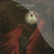 Front View : Snow Ghosts - A WRECKING (180G LP) - Houndstooth / hth034