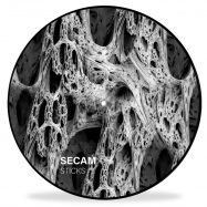 Front View : Secam - STICKS (ONE SIDED PICTURE DISC / INCL D-FUNC RMX) - Konsequent / KSQ065