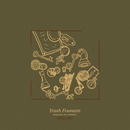 Front View : Youth Fountain - KEEPSAKES & REMINDERS (LP) - Pure Noise / PNE3581