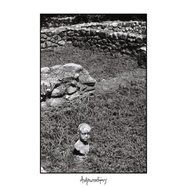 Front View : Telma - ???????????? / MAN-EATER (LP) - Dying Victims Productions / 199350535307