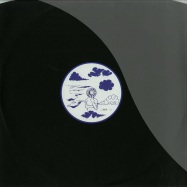 Front View : Various Artists - RARE STRICTLY GROOVE 02 - Strictly Groove Recordings / SGRRARE-02