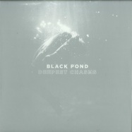 Front View : Black Pond - DEEPEST CHASMS - Electronic Emergencies / EE013rtm