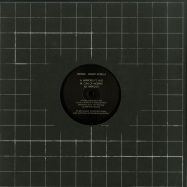Front View : Danny Scrilla - MIRRORS (180G VINYL) - Perfect Records / PRF002