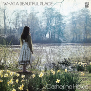 Front View : Catherine Howe - WHAT A BEAUTIFUL PLACE (LTD YELLOW LP) - Numero Group / 00161241
