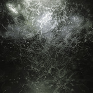 Front View : BB. angel, Mariel Loah - A GATE TO THE FOREST (AYU & MARIJN S REMIXES) - AcidReflux / AR001