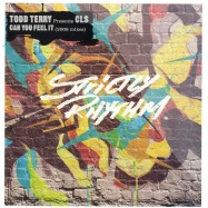 Front View : Todd Terry presents CLS - CAN YOU FEEL IT 2008 - Strictly Rhythm / SR12648