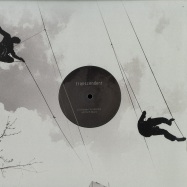 Front View : Hexagon - HIDDEN TERRITORIES EP - Transcendent / TRSD003